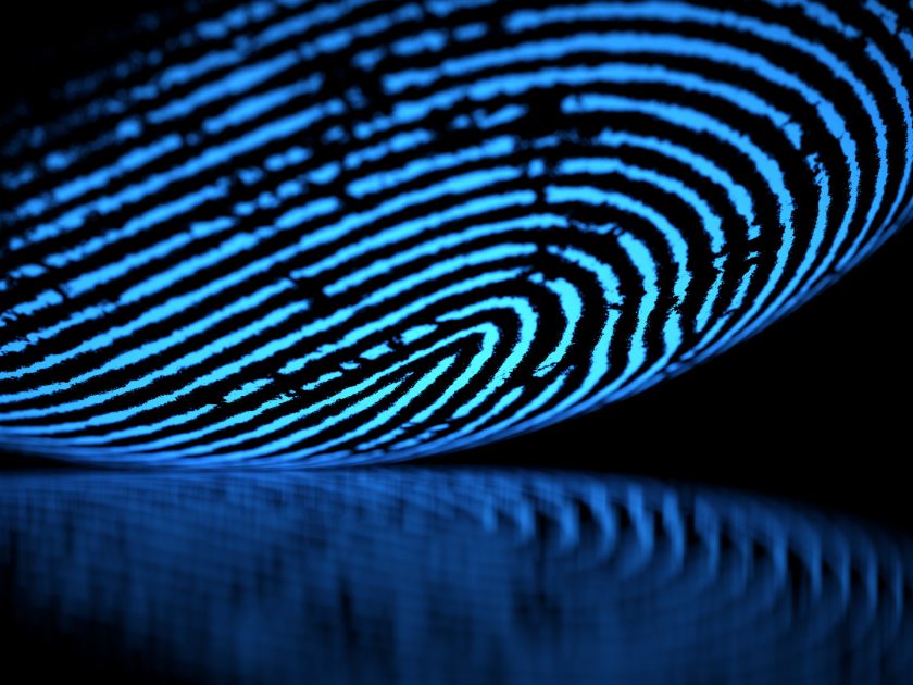 ujjlenyomatos rendszer