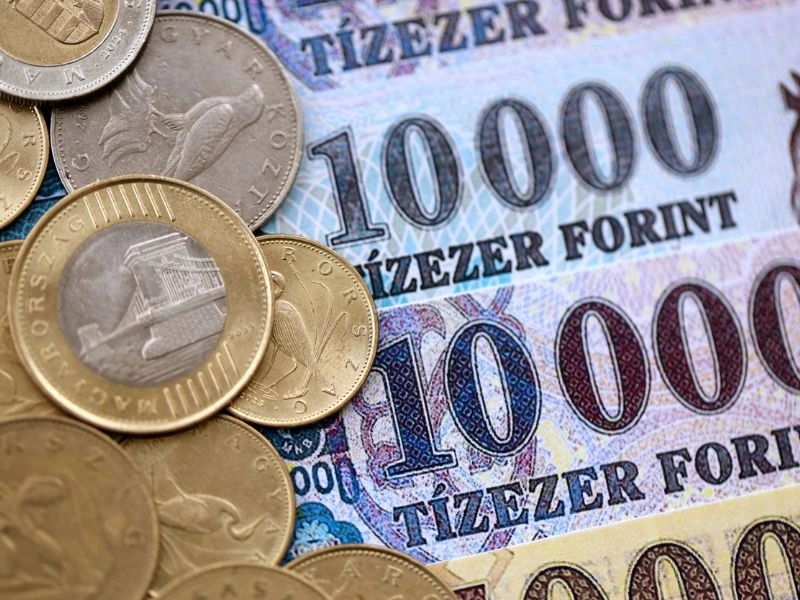 Táppénz összege 2026