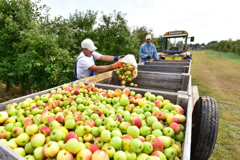 Így változtak az alkalmi munka szabályai 2026-tól!