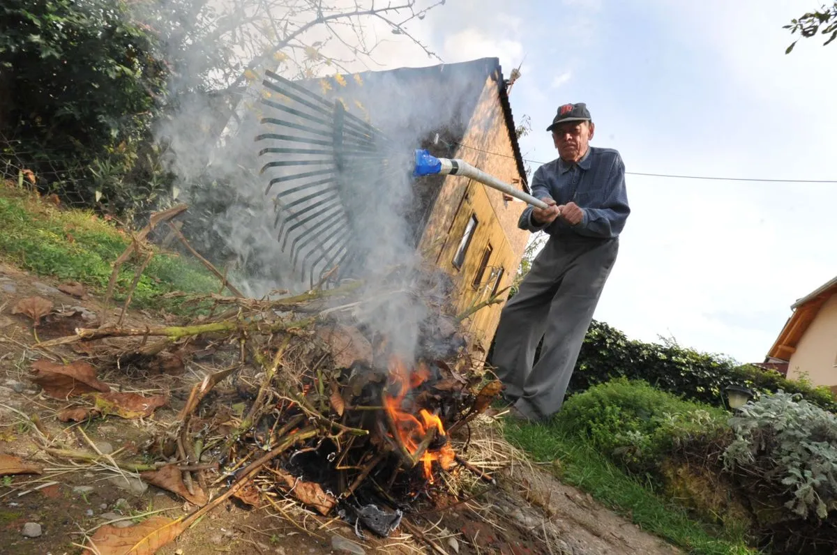 Komoly bírságot fizethetsz, ha tavasszal ezt teszed a kertedben!